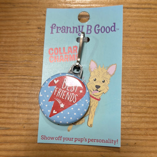 Best Friends Collar Charm