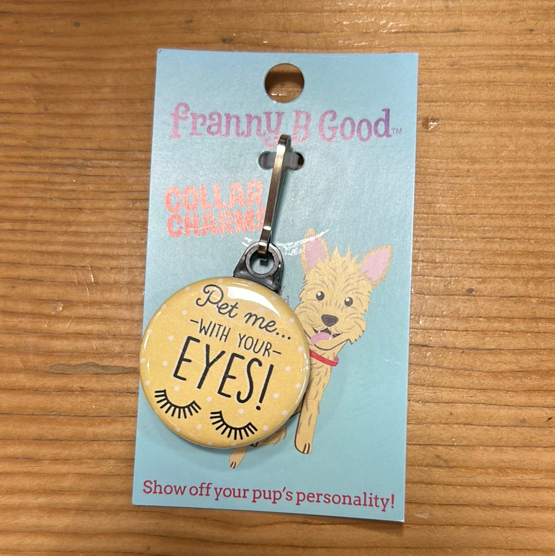 Pet with your Eyes Collar Charm