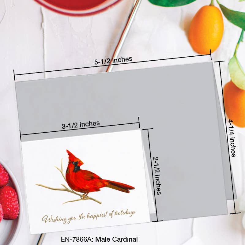 Male Cardinal - Greeting Card