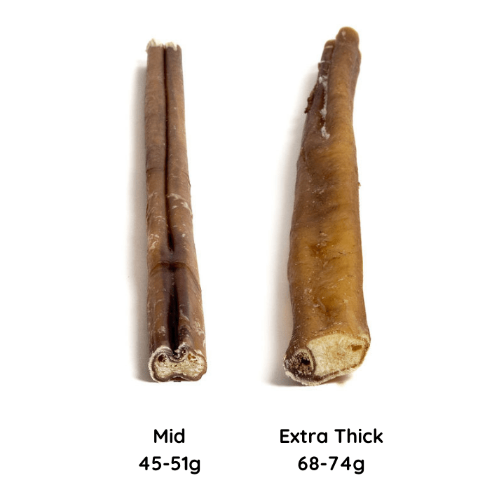 12" Extra Thick Bully Sticks (Very Low Odor)