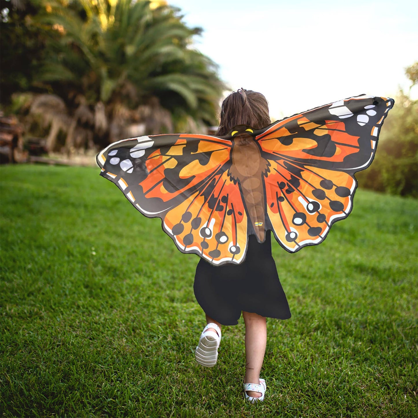 Dress-up Butterfly Wings