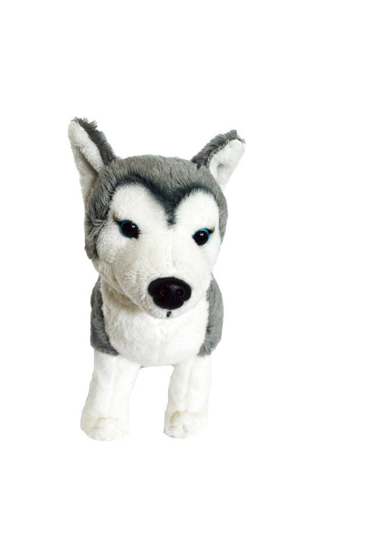 Z- Plush Mini Husky