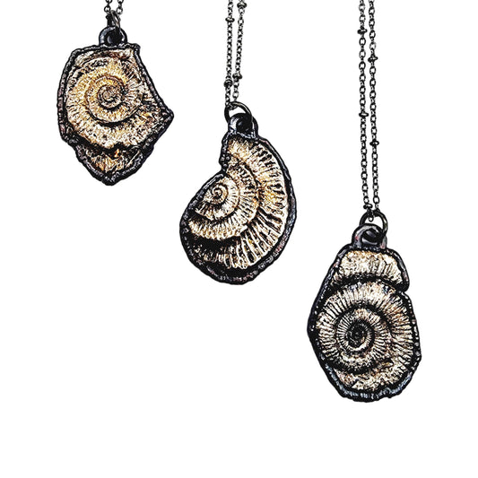 Ammonite Pressed Bismuth Necklace