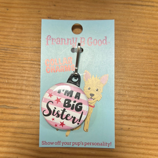 I'm a Big Sister Collar Charm