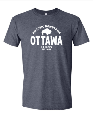 Gray Historic Downtown Ottawa T-Shirt