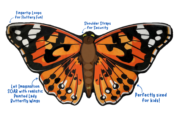 Dress-up Butterfly Wings