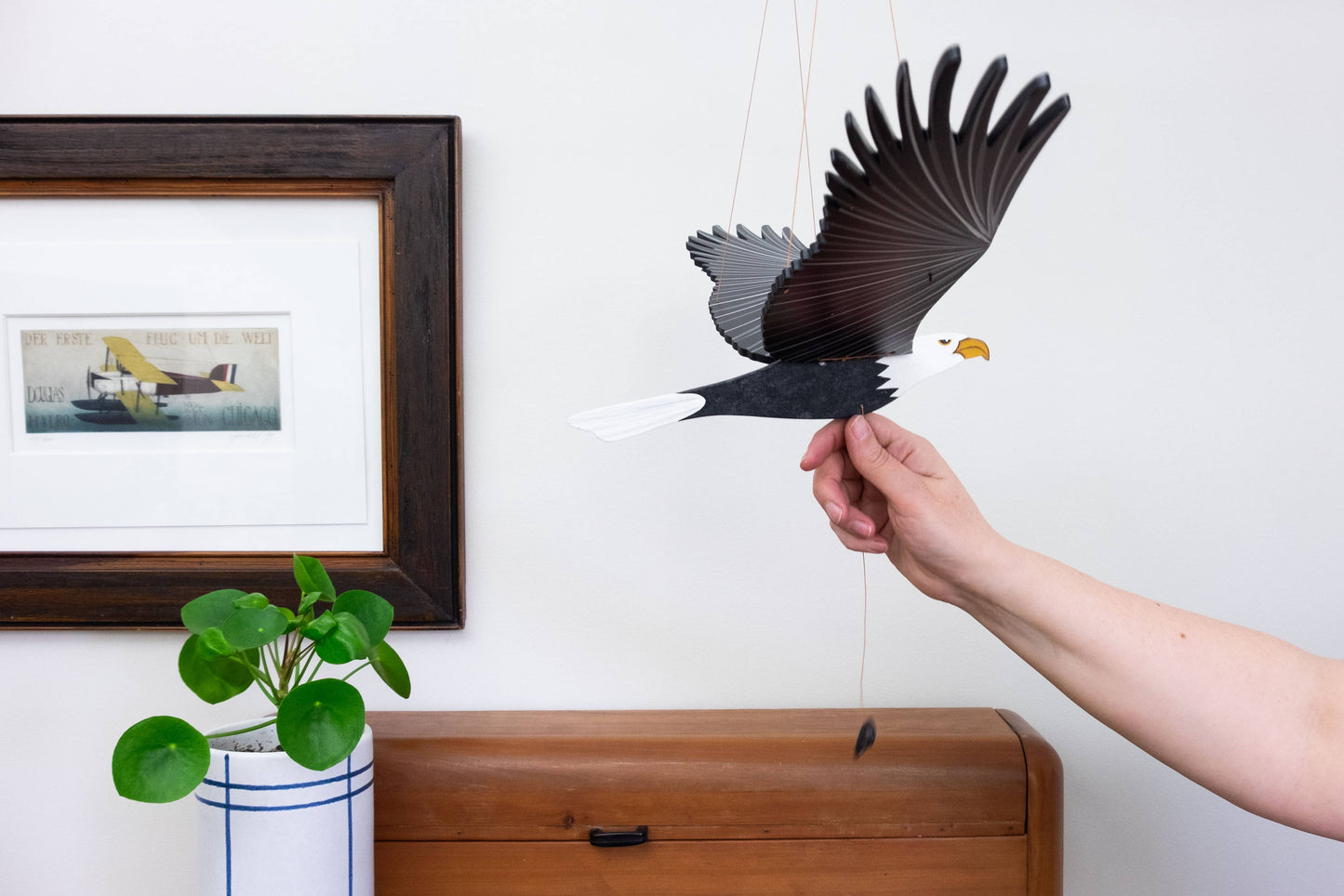 American Bald Eagle BIrd Flying Mobile