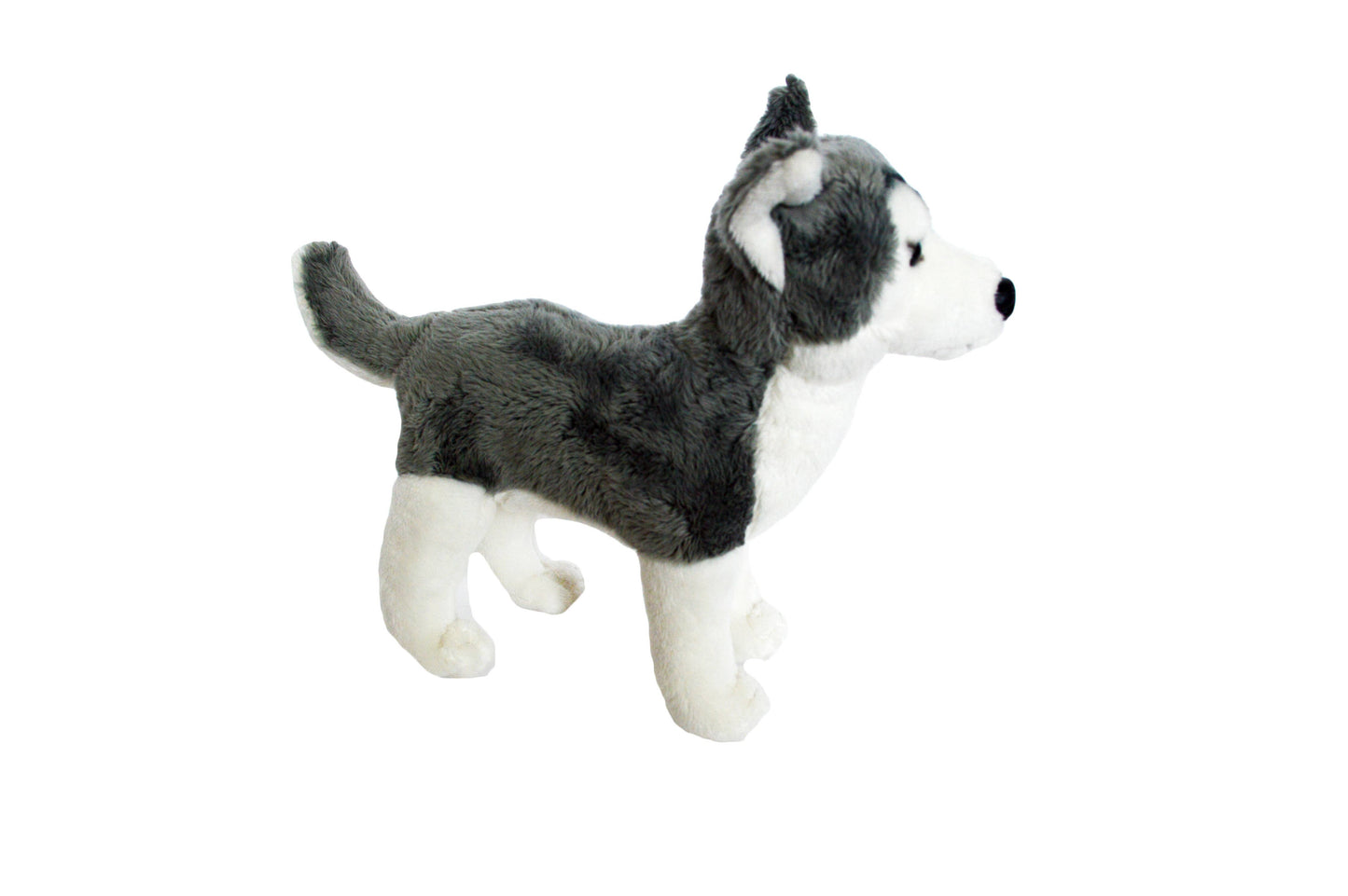 Z- Plush Mini Husky