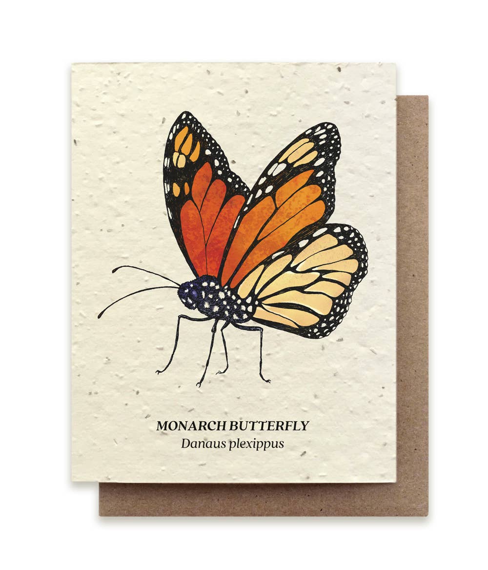 Monarch Butterfly - Seed Card