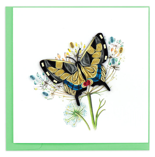 Quilled Swallowtail Butterfly Greeting Card