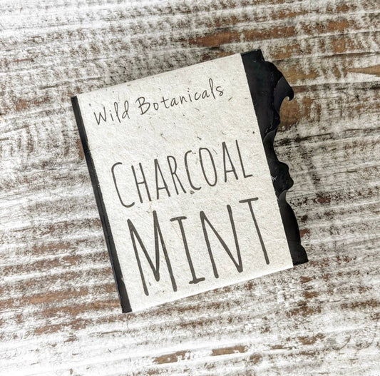 Charcoal Mint Soap