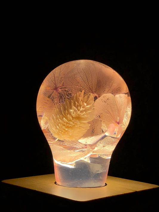 Pink Hydrangea Bulb