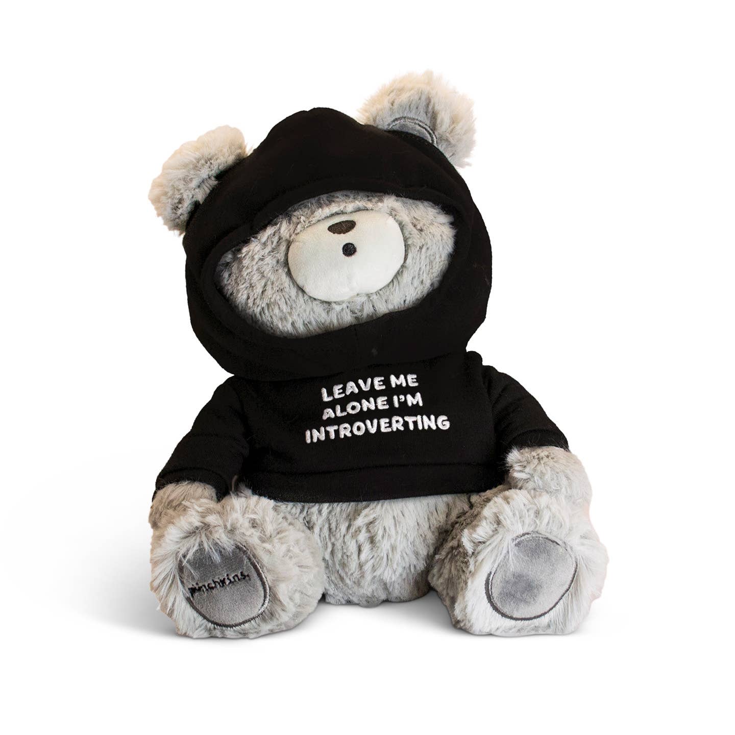 Leave Me Alone, I'm Introverting Teddy Bear Plushie, Gift