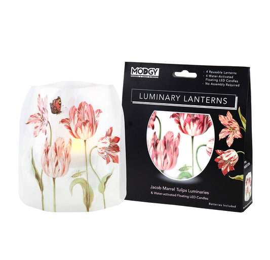 Jacob Marrell Tulips - Luminary