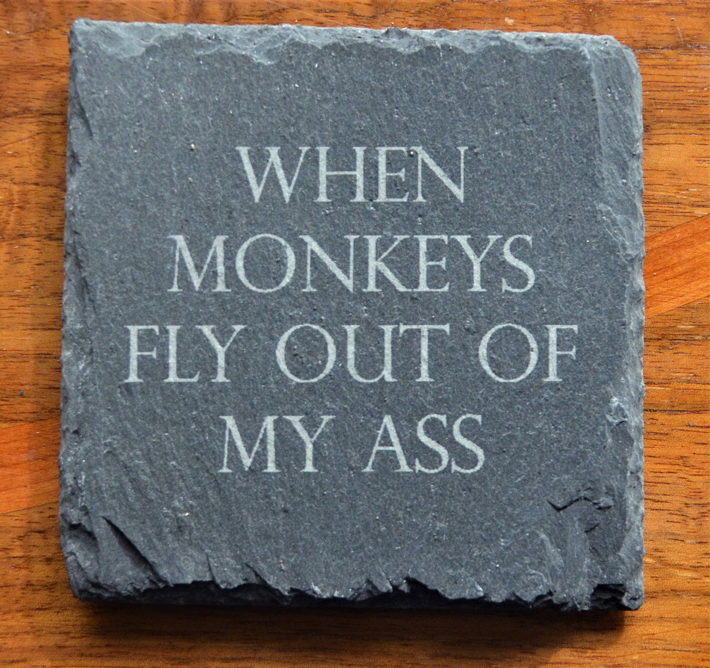 Coaster - When Monkeys Fly Out Of My Ass