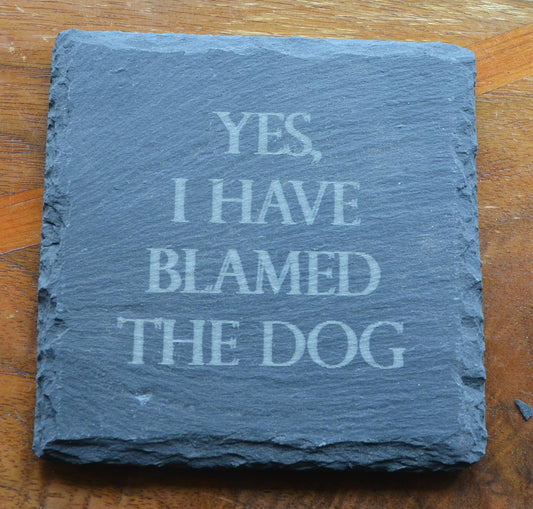 Coaster- Yes I have blamed the dog