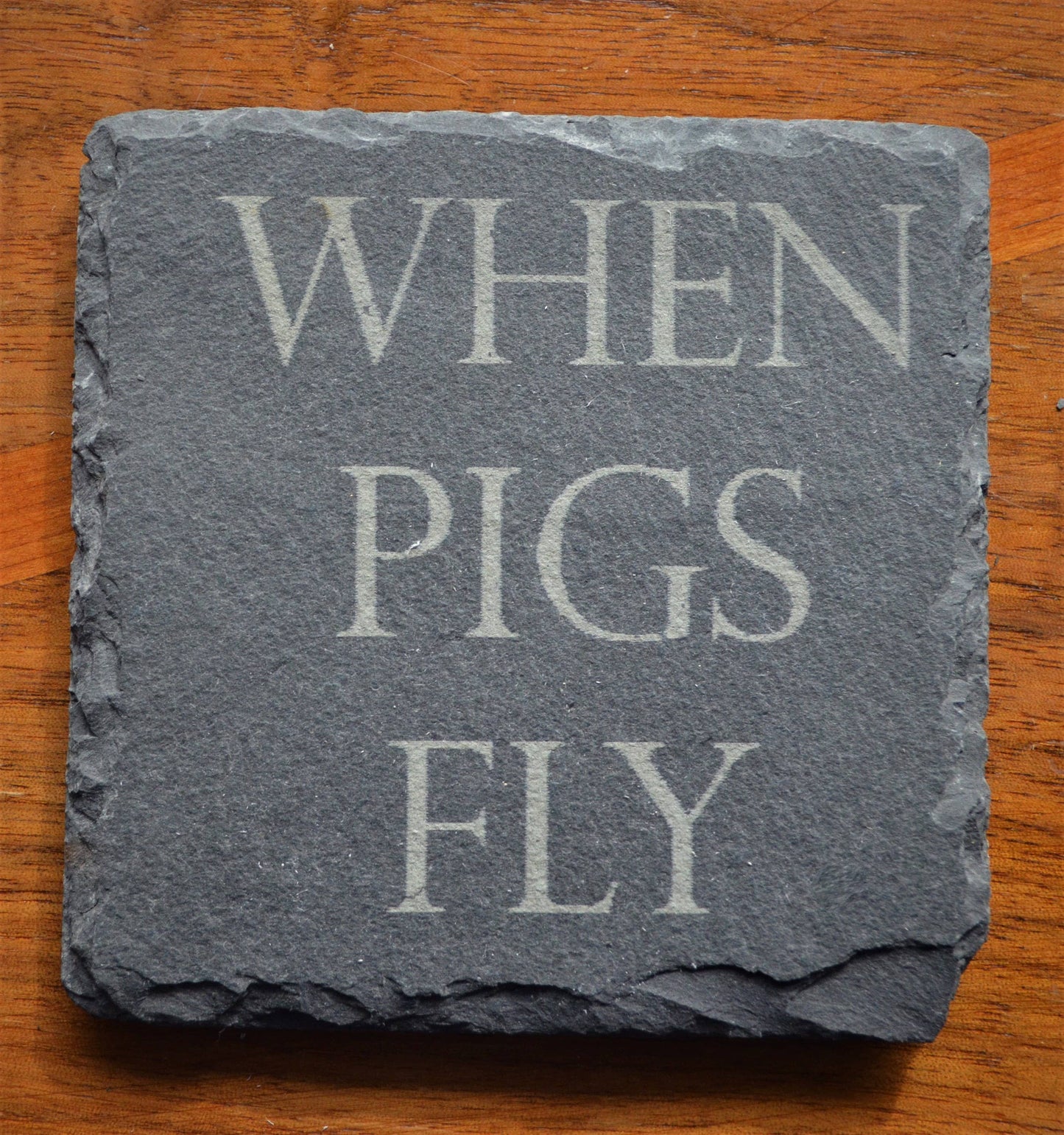 Coaster - When Pigs Fly