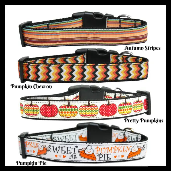 Autumn Stripes 10" Collar