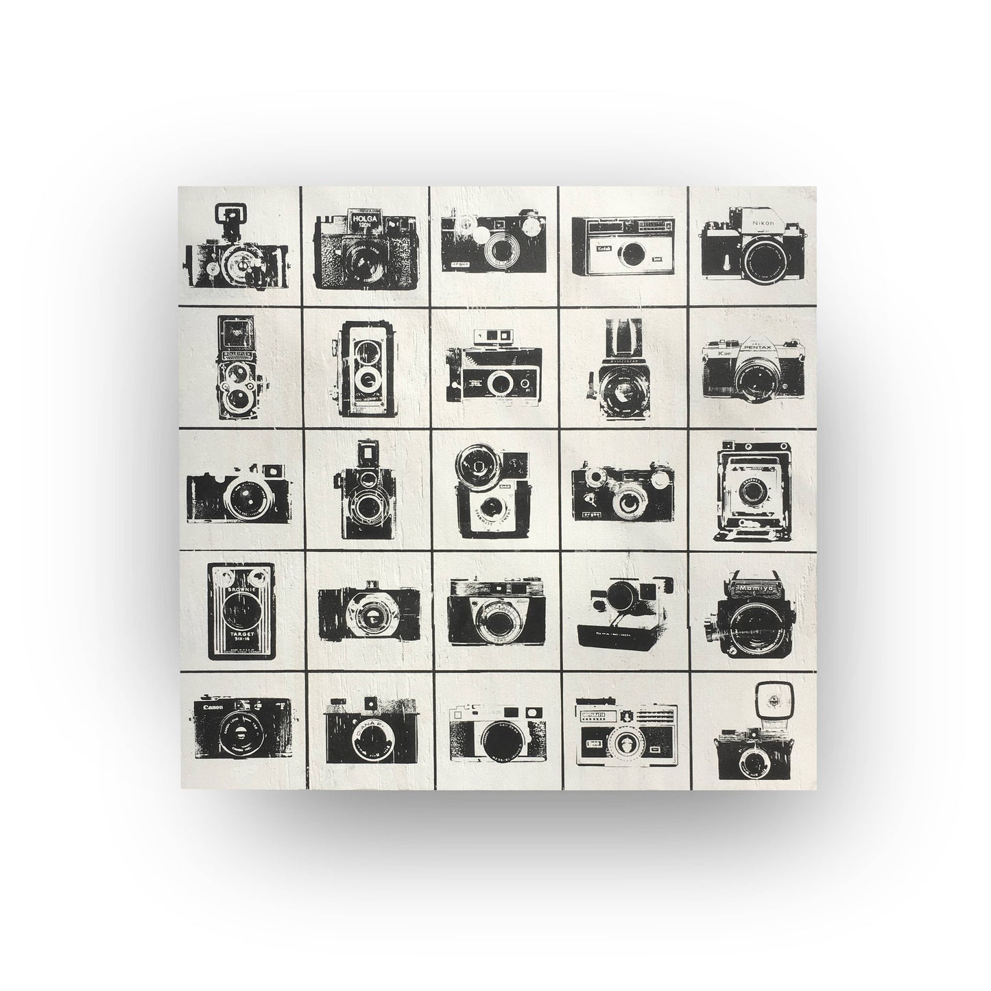 Vintage Camera Collage 20 x 20